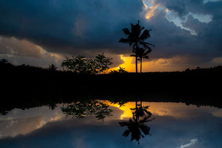 landscape during sunset, Coconut Trees Reflection On Water Under blue and yellow Cloudy Sky, Sunset nature photography, Beautiful scenery of coconut treesの写真素材