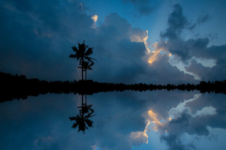 Coconut Trees Reflection On Water Under blue Cloudy Sky, Sunset nature photography, Beautiful scenery of coconut treesの素材 [FY310170036233]