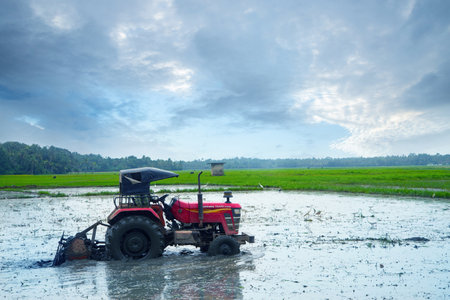 Kerala, India - 12 August 2021: Tractor Plowing a rice field for rice planting. Kerala India, A tractor prepares a paddy fieldのeditorial素材
