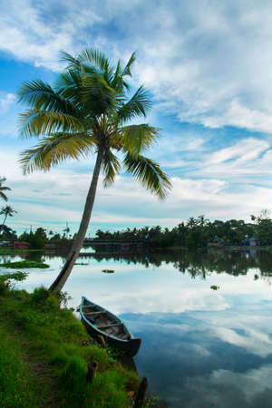 A wooden boat under a coconut tree, Riverside photography, Kerala Backwaters, Kerala backwaters photography during day time Kadamakkudy Kerala, Stripe of coconut trees between a cloudy sky and river.の写真素材