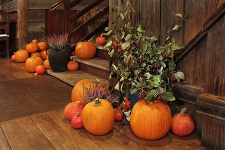Bright ripe pumpkins on the wooden floor. Home decoration for Halloween.