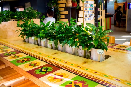 new cafe with lots of plants, ornaments and wooden furnitureの写真素材