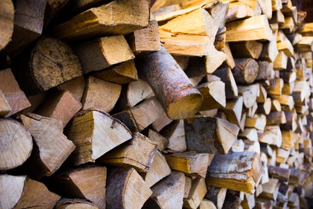 A lot of firewood stacked evenly in the yard for winter