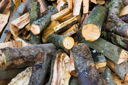Lots of firewood lying on the street randomly scatteredの写真素材
