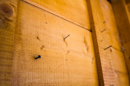 Metal little old nails hammered into a wooden boardの写真素材