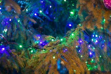 Christmas lights with different colors very closeの写真素材