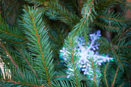 Christmas snowflake on the background of fir branches and woodの写真素材