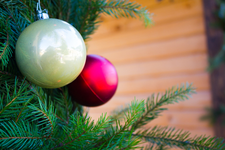 Red and white Christmas balls on the background of fir branchesの写真素材