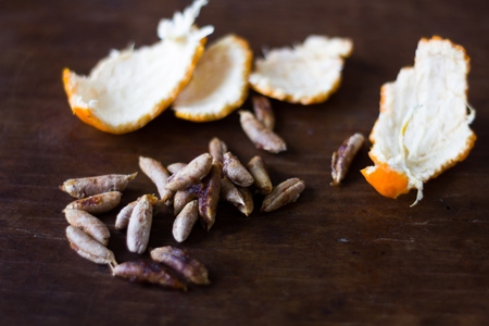 Seeds of date palm and rind of orange on a wooden background