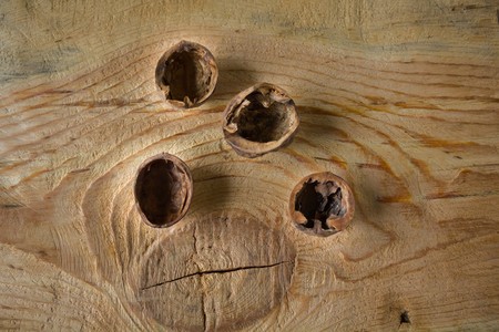Walnuts with shell lying on a wooden table