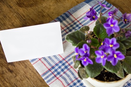 Delicate purple violets on the table close up view and empty white card for an inscriptionの写真素材