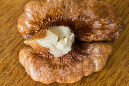 Large Walnuts without a peel close up viewの写真素材