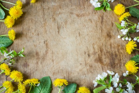 Gentle colored Spring flowers. Wooden board rustic. Spring background. Insert textの写真素材