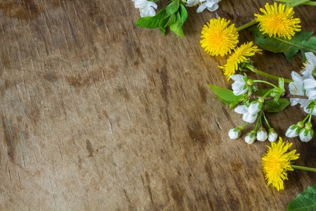 Gentle colored Spring flowers. Wooden board rustic. Spring background. Insert textの写真素材