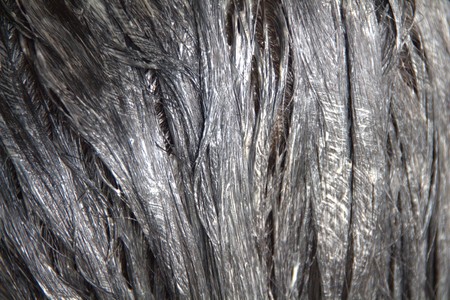 Brunette girl doing hair coloring with a special brush for paintingの写真素材