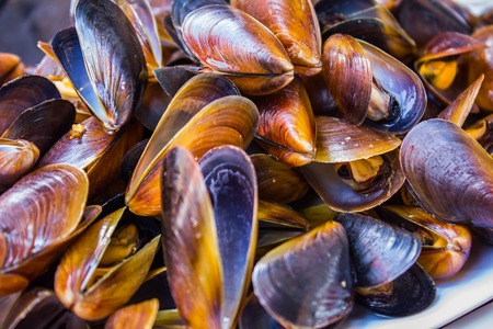 Delicious mussels fresh tomato salad sauce sliced bread and cut lemon on a stylish black tableの写真素材