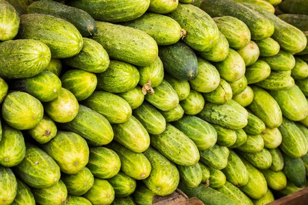 Big juicy ripe cucumbers in a pile on the counter marketの写真素材
