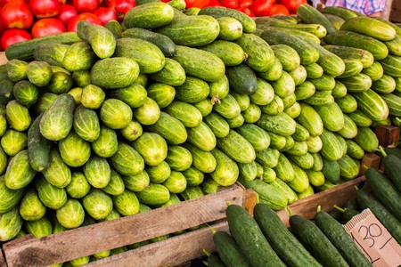 Big juicy ripe cucumbers in a pile on the counter marketの写真素材