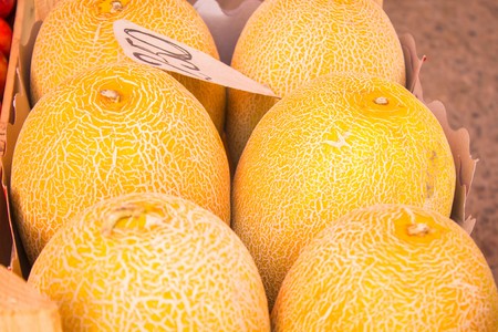 Juicy ripe yellow melon close up viewの写真素材