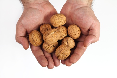 walnuts and hands on white background isolated