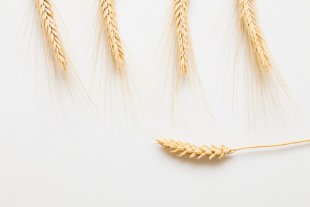 Ripe wheat on white background close-upの写真素材