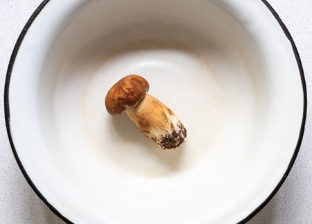 Fungus Boletus edulis lying in white bowl close upの写真素材