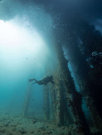 Underwater view of a diver in the deep blue sea near corals near pier support.