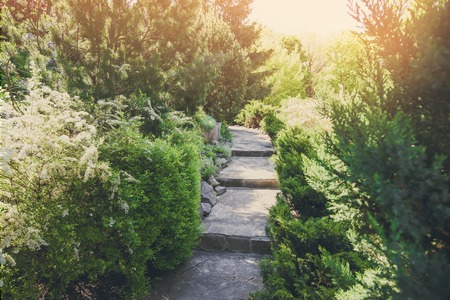 Beautiful landscape design, garden path with staircase in stone tiles, evergreen bushes, fir trees, blue spruces and shrubs in sunlight.の写真素材