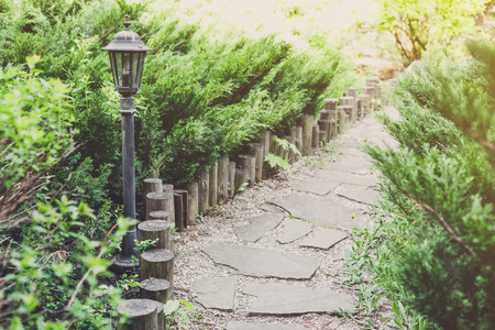 Beautiful landscape design, garden path with park light, wooden fence, evergreen bushes and shrubs in sunlight.の写真素材