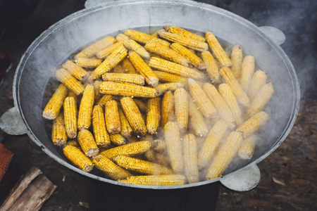 Country fair food cooking. Corns boiled outdoors in big metal cauldron pot. Cookout vegetable meals. Fresh organic, healthy snack, corncobs cooked on grill flame. Street food, fast food.の写真素材