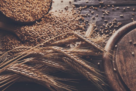 Bread baking background. Grain and ears scattered around on rustic wood near round wooden desk. Agricultural wheat harvest, bread making compositionの写真素材
