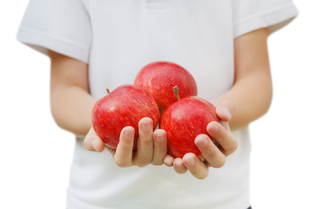 Unrecognizable child girl holds apples in hands isolated. Child's handful of red apples, harvest background. Closeup of organic healthy food, ripe fruits. Healthy nutrition conceptの写真素材