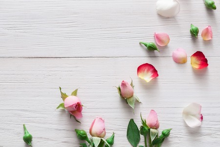 Valentine day background, rose flowers on white woodの写真素材