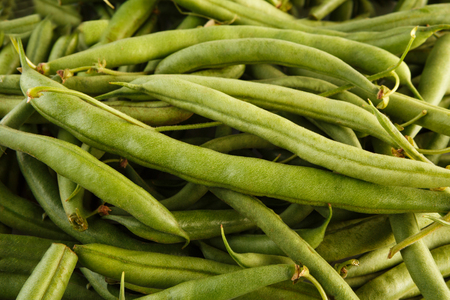 Lots of fresh green french beans backgroundの写真素材