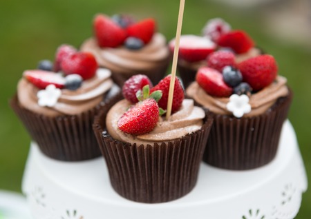 Beautiful cupcakes with berries and chocolate cream on banquet table. Sweet cakes, dessert outdoors,...