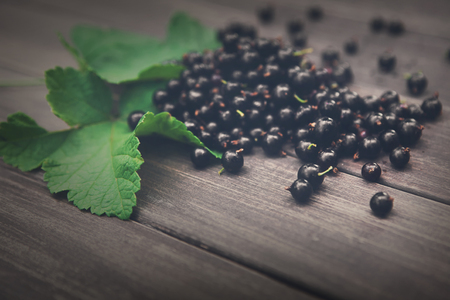 Fresh black currants on rustic wood background. Natural organic berries with green leaves scattered on weathered grey wooden table, dark filterの写真素材