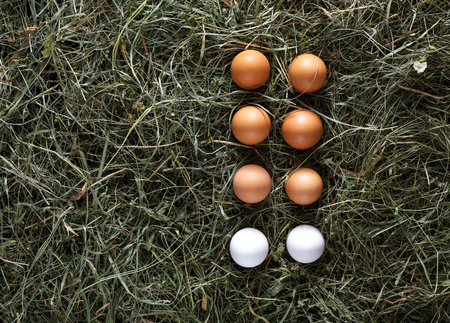 Poultry ecological farm background, fresh chicken eggs. Brown and white eggs on hay, flat lay, top...