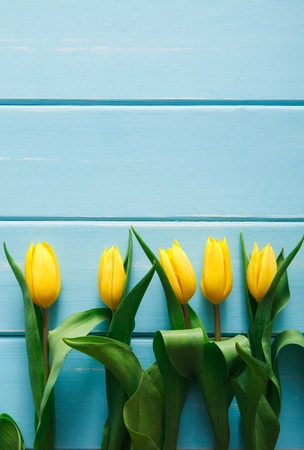 Yellow tulips row on blue wood background, copy space, vertical image. Spring fresh flowers, mockup for greeting cardの写真素材