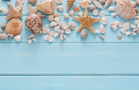Sea vacation background on blue wood. Seashells border with copy space on wooden planks, top view