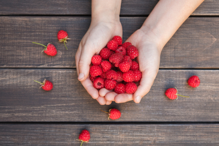 Handful of fresh raspberries in womans hands on brown rustic wood background. Harvest of healthy food concept. Natural ripe organic berries on wooden table, top view.の写真素材