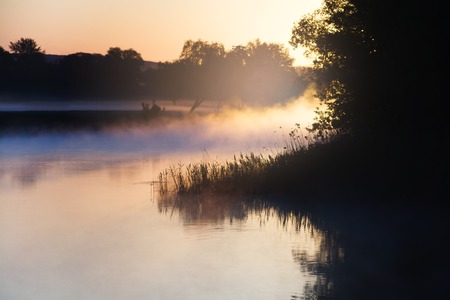 Morning mist on the forest river. Trees silhouettes in dawn colours. Nature backgroundの写真素材