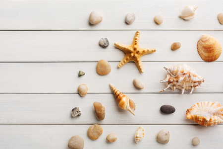 Seashells flat lay, top view on white wood, sea vacation background on wooden planks, copy spaceの写真素材