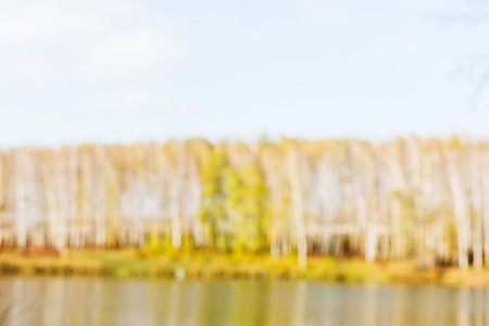 Autumn forest trees and riverside blurred background. Fall season trees with yellow foliage bokeh, forest in nature.の写真素材