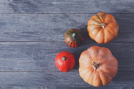 Fall background. Top view, pumpkins on weathered rustic blue wood with copy space.の写真素材