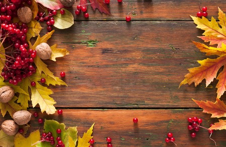Autumn rowan leaves and viburnum frame on rustic wood background with copy space. Beautiful fall...