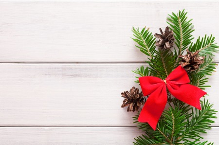 Minimalistic christmas background. Fir tree branch with cones decorated with red satin bow on white...