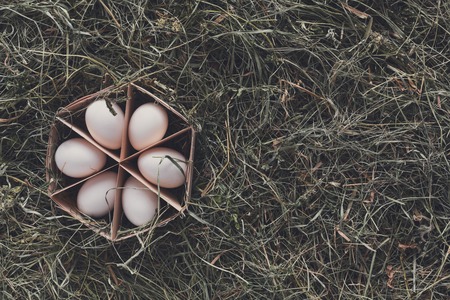 Fresh chicken eggs background. White eggs in craft carton pack on hay. Top view with copy space. Rural still life, natural healthy food and organic farming concept.の写真素材