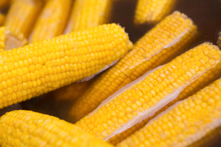 Corncobs boiling in water background. Closeup of bright yellow vegetable. Outdoor festival meals,...