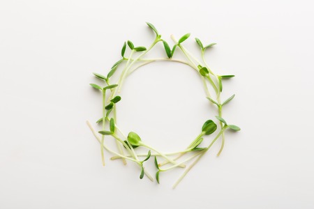 Tender arugula micro greens wreath isolated on white background. Eating right concept. Fresh garden produce organically grown as a symbol of health and vitamins from nature, top view, copy spaceの写真素材