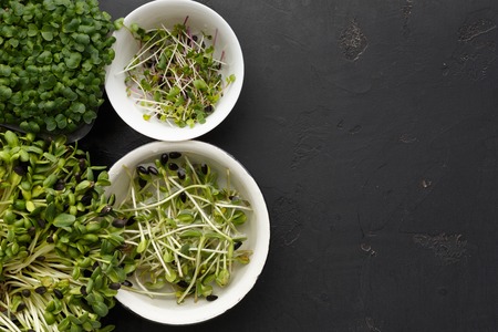 Assortment of micro greens at black background, copy space, top view. Kale, alfalfa, sunflower and other sprouts in bowls. Healthy lifestyle, stay young and modern restaurant cuisine conceptの写真素材